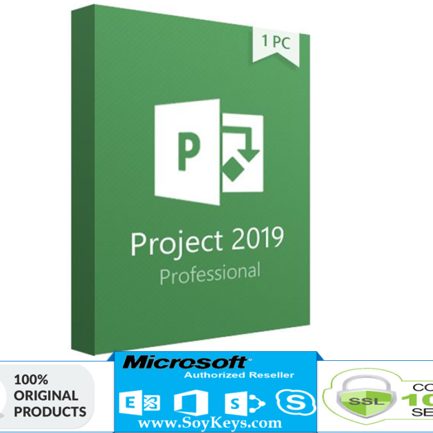 Project Professional 2019 1PC
